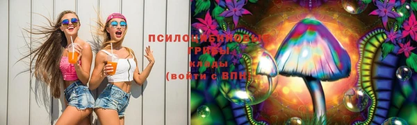 молекула духа Инсар