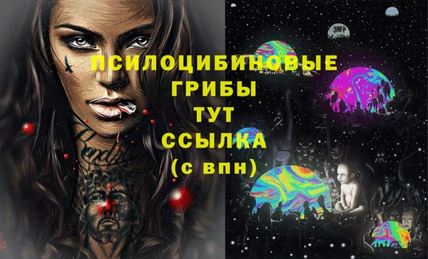 бошки Лиски