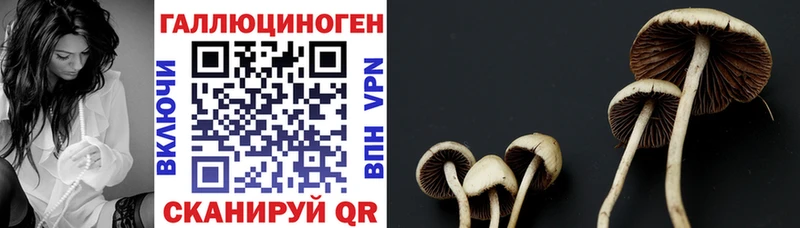 Псилоцибиновые грибы ЛСД  Нефтегорск 